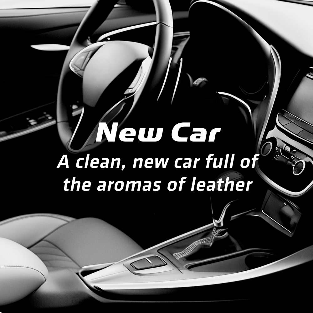 New Car Vent Clip Air Freshener Image 4