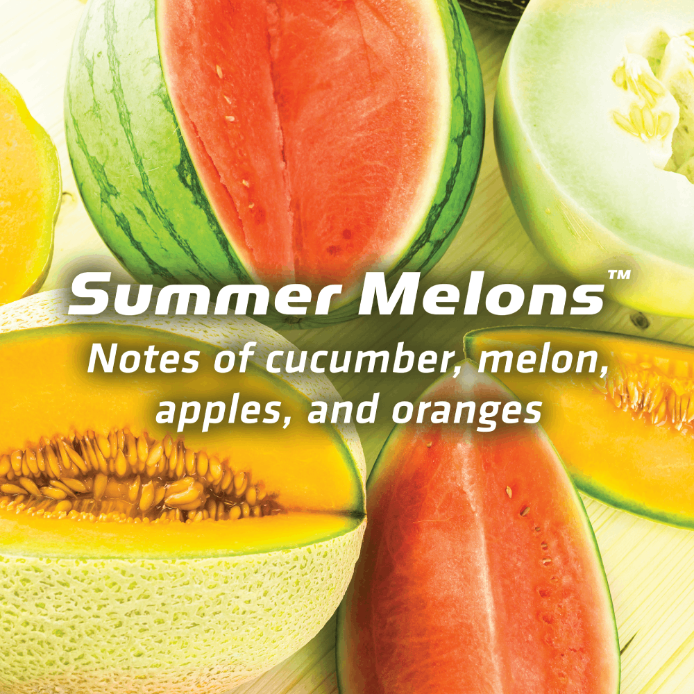 Summer Melons™ Vent Clip Air Freshener Image 4